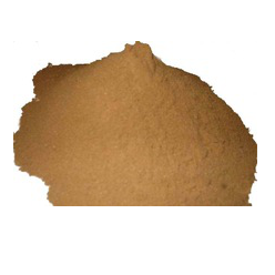 Manufacturers Exporters and Wholesale Suppliers of Gluco Amylase Powder Surat Gujarat